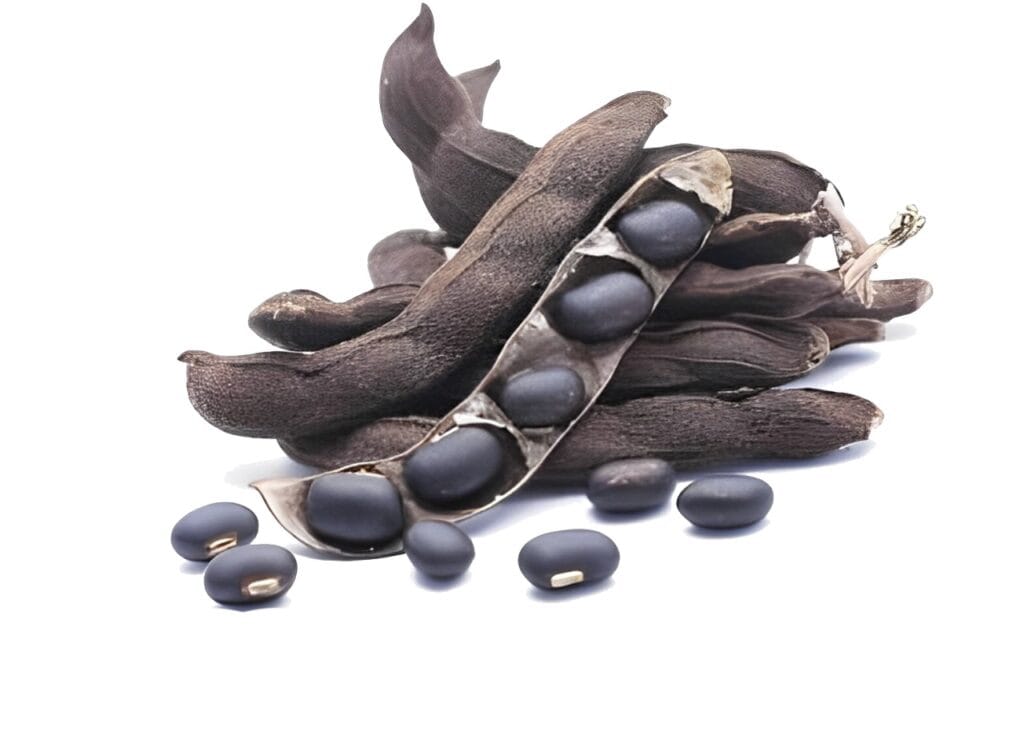 আলকুশি পাওয়ার
যৌন দুর্বলতা
দ্রুত বীর্যপাত
আলকুশি মিক্স
আলকুশি পাওয়ারের উপকারিতা
যৌন দুর্বলতা ও দ্রুত পতনের প্রাকৃতিক সমাধান
আলকুশি মিক্স খাওয়ার নিয়ম